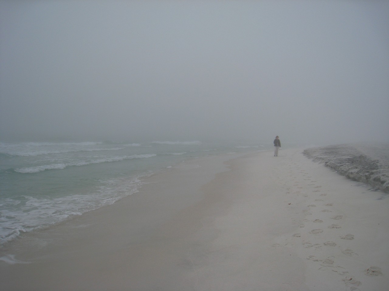 Vacation 2007-12 - Beaches Disney Hotels 0277.jpg - On the 2007-08 Florida vacation we visited beaches from Fort Myers to Sanibel Island sampling local food along the way. Green water and white sugar beaches! Arriving at Disney World we visited several of the theme resorts.